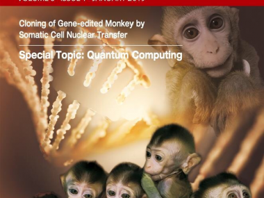 Китай провел клонирование обезьяны с отредактированным геномом