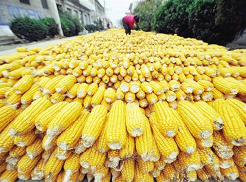 Китай собирается сократить дефицит некоторых сельскохозяйственных продуктов