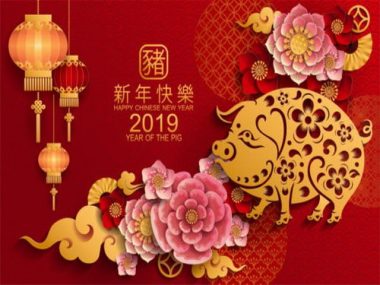 Начинается китайский год Желтой Свиньи