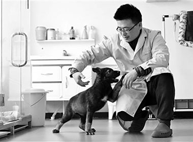 Китай создал первую клонированную служебную собаку