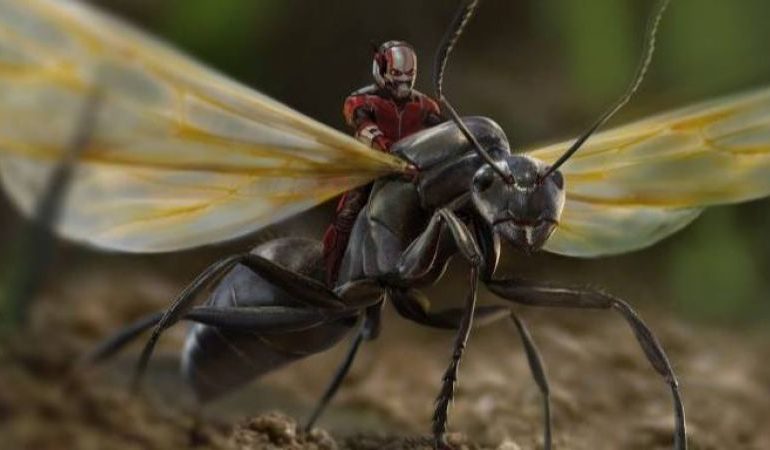 Китайская наука выявила гены «человека-муравья»