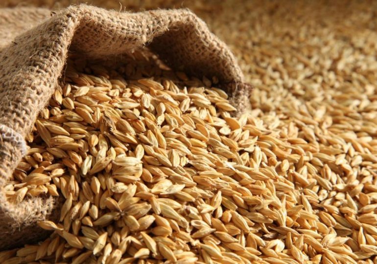 Экспорт казахстанской пшеницы в Китай динамично растет
