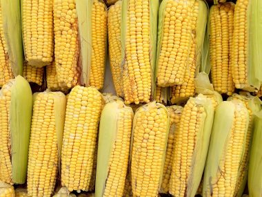 Китай закупил украинской кукурузы почти на $500 млн