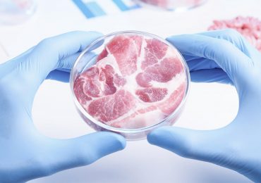 Китай опубликовал противоэпидемические правила для импортеров мяса