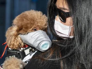В Украине запретили ввоз домашних животных из Китая