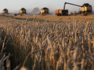 Украинский государственный зернотрейдер проиграл первое судебное дело китайской ССЕС на $4 млн