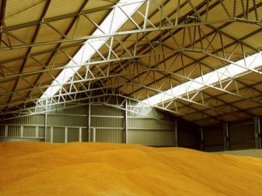 COFCO увеличит мощности зернохранилища в Днепропетровской области