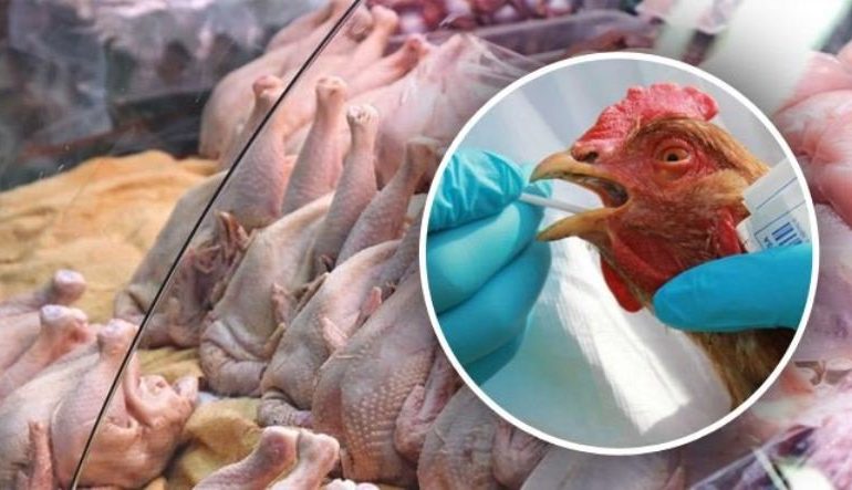 Китай запасается курятиной до следующей вспышки коронавируса
