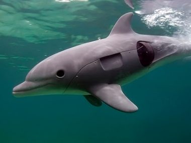 В китайских океанариумах могут заменить живых дельфинов на роботов
