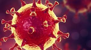 62 страны мира поддержали расследование истоков пандемии коронавируса