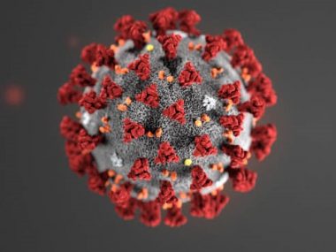 Гарвардские исследователи предположили, что в Китае коронавирус распространялся уже в августе 2019 года