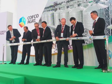Case COFCO. Как крупнейший зернотрейдер Китая вышел на украинский рынок