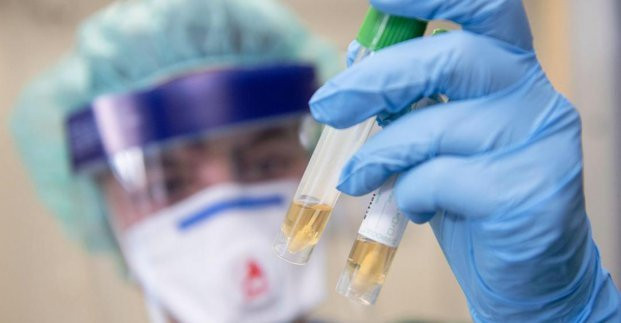 Днепропетровские и китайские врачи обмениваются опытом борьбы с коронавирусом