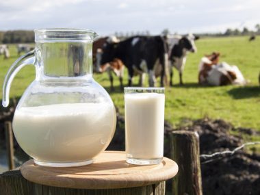 83% импорта сухого молока в Китай приходится на Новую Зеландию