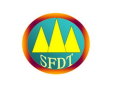 11. SFDT - Shanxi Fenglei Drilling Tools Co