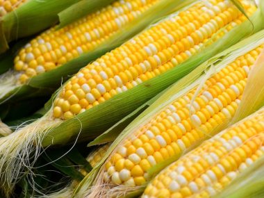Китай импортировал 1.93 млн тонн кукурузы в марте 2021 г.