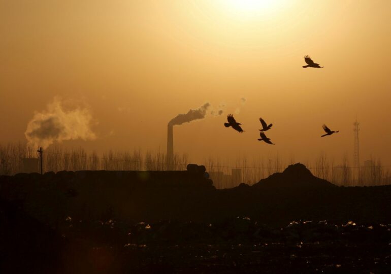 Выбросы CO2 в Китае выросли на 9% в первом квартале 2021 г.