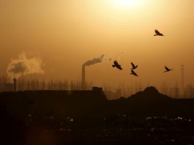 Китай запустит пилотную программу по оценке выбросов CO2 на новых промышленных проектах