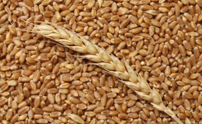 CCEC до конца 2021 года получит 1 млн тонн зерна от ГПЗКУ