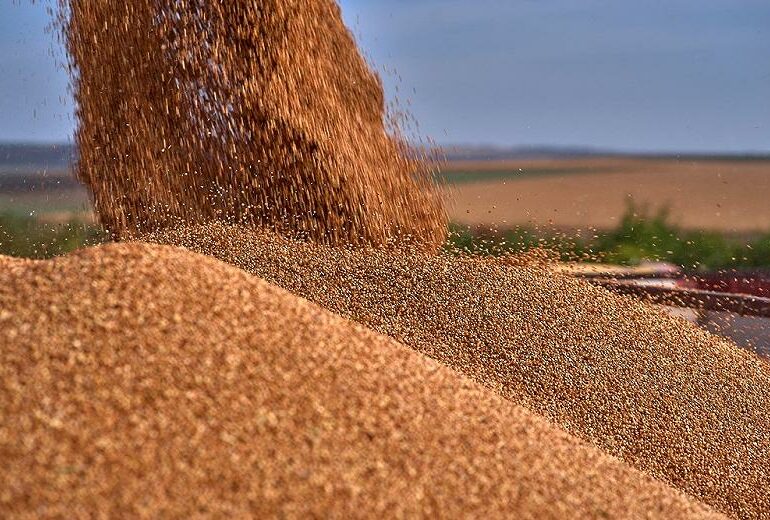 Китай отказался принимать зерно из Казахстана