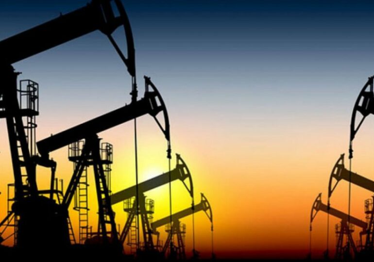 Sinopec разведала месторождение нефти и газа в 100 млн тонн в Таримском бассейне