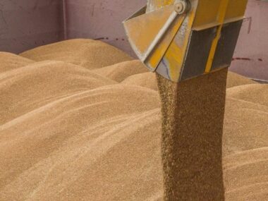 Казахстанские экспортеры зерна заявили о проблемах с поставками в Китай