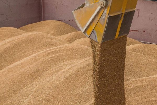 Казахстанские экспортеры зерна заявили о проблемах с поставками в Китай