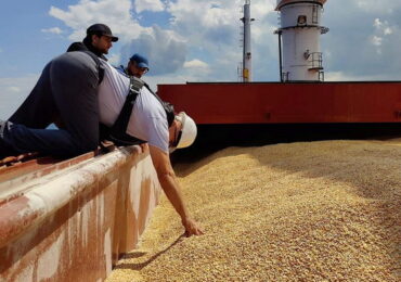 Китай является главным получателем продовольствия Украины по "зерновому коридору"