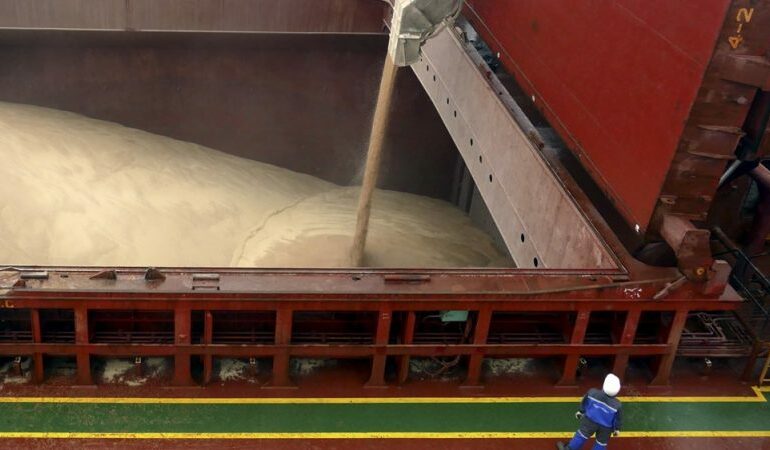 Китай выступил за сохранение «зерновой сделки»