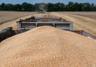 Китай импортировал 13,9% украинского зерна в 2023 году