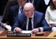 РФ в ООН заблокировала механизм мониторинга санкций против КНДР
