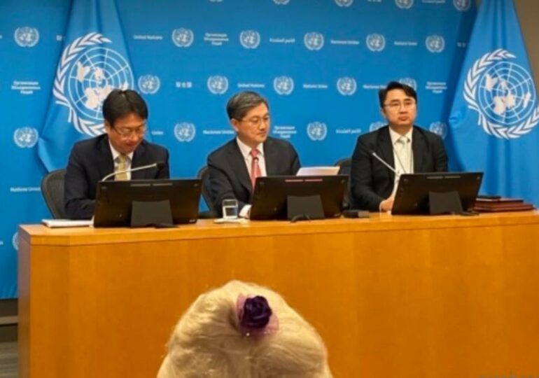 Председатель Совбеза ООН отрицает возможность согласований действий Пхеньяна с Пекином по российской войне