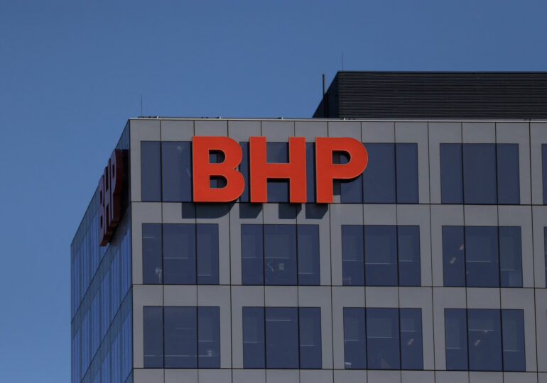 Bloomberg: Китай приостанавливает новые закупки железной руды у BHP