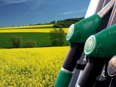 Британия вводит антидемпинговые пошлины на импорт биодизеля из Китая