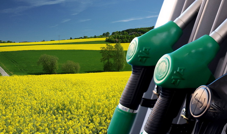 Британия вводит антидемпинговые пошлины на импорт биодизеля из Китая