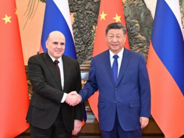 Си Цзиньпин провел встречу с премьер-министром РФ