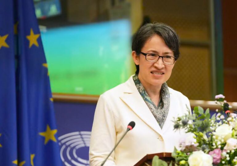 Вице-президент Тайваня призвала Европарламент к совместным усилиям против давления Китая