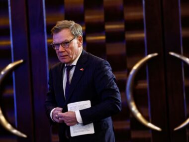 Немецкие компании не попали в первую волну лицензирования экспорта китайских редкоземов