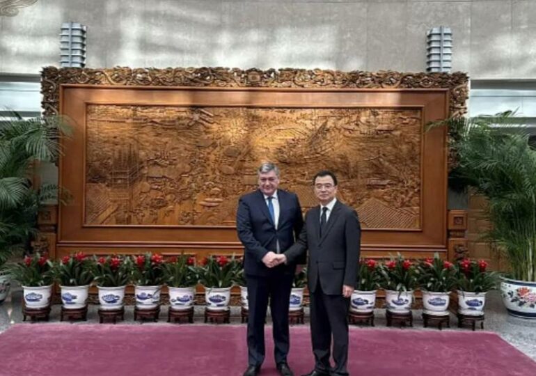 Китай и РФ провели консультации по двусторонним отношениям