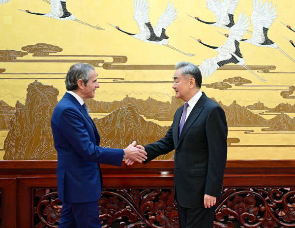 Ван И встретился с гендиректором МАГАТЭ Гросси