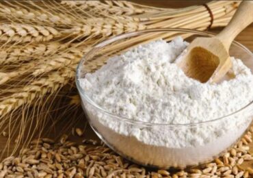 Китай открыл рынок для украинской муки, но быстрых поставок пока не будет – Рыбчинский