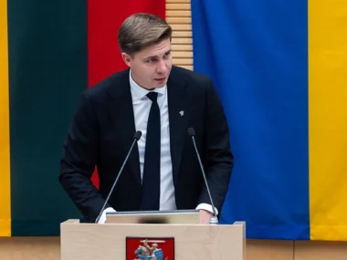 Новое правительство Литвы намерено наладить отношения с Китаем